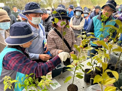 福木葉子|臺灣原生樹木推廣及媒合平臺